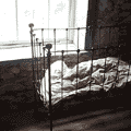 Old Irish Cot